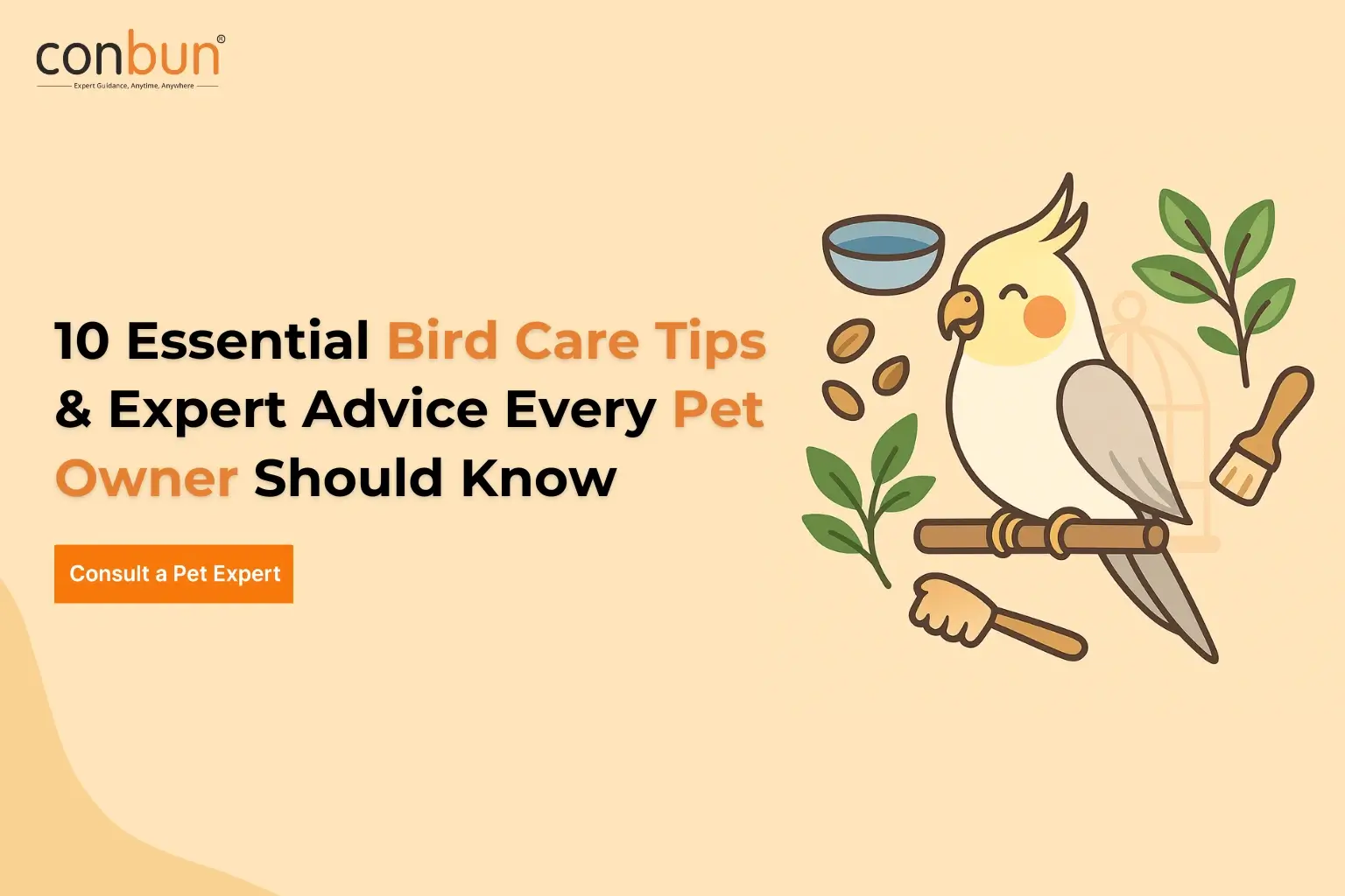 10 Essential Bird Care Tips & Expert Advice Every Pet Owner Should Know